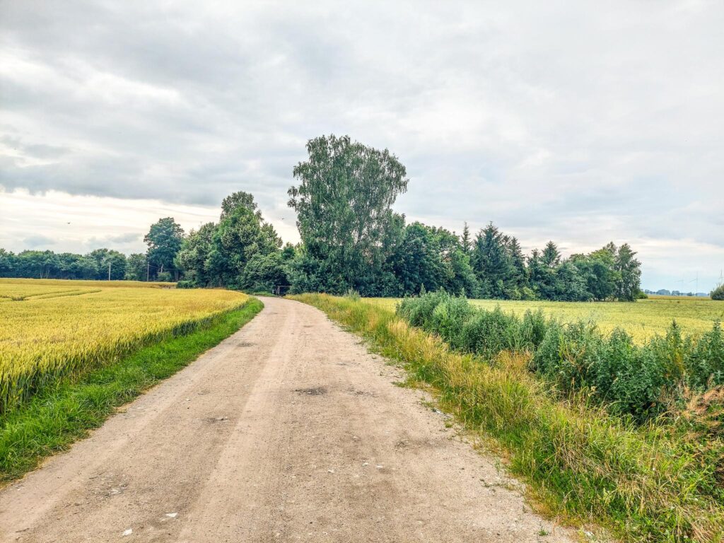 Dom  na dużej działce. - zdjęcie 19
