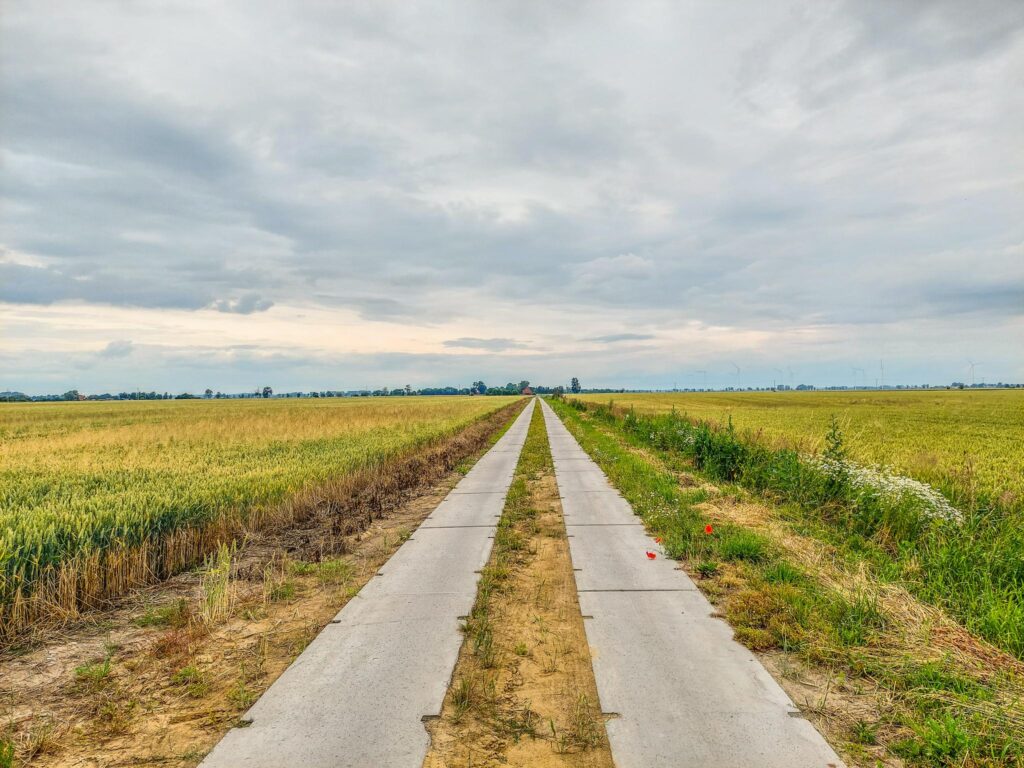 Dom  na dużej działce. - zdjęcie 20