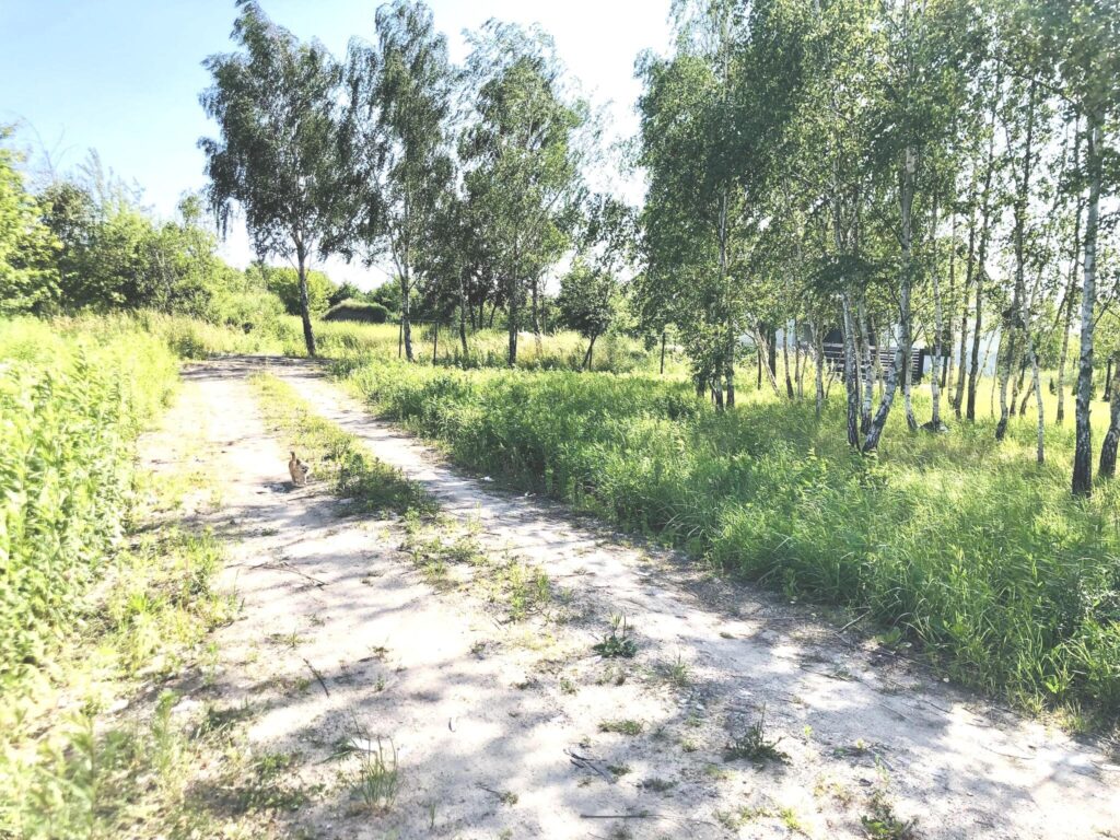 Działka budowlana Łomianki-Dziekanów 1,027ha, pnb - zdjęcie 3