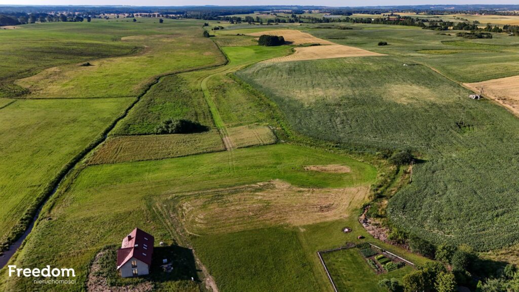 Działka na Mazurach - Wólka Ryńska - zdjęcie 2