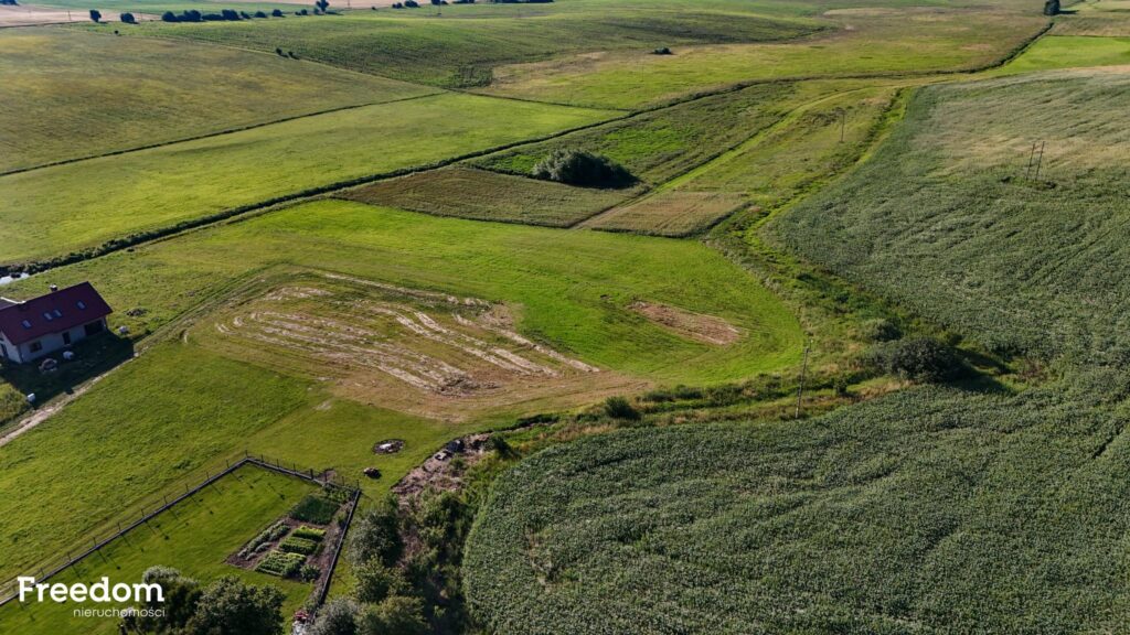 Działka na Mazurach - Wólka Ryńska - zdjęcie 6