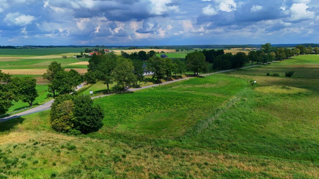 Kożuchy Wielkie k. Giżycka - działka 4000m2 - zdjęcie 4