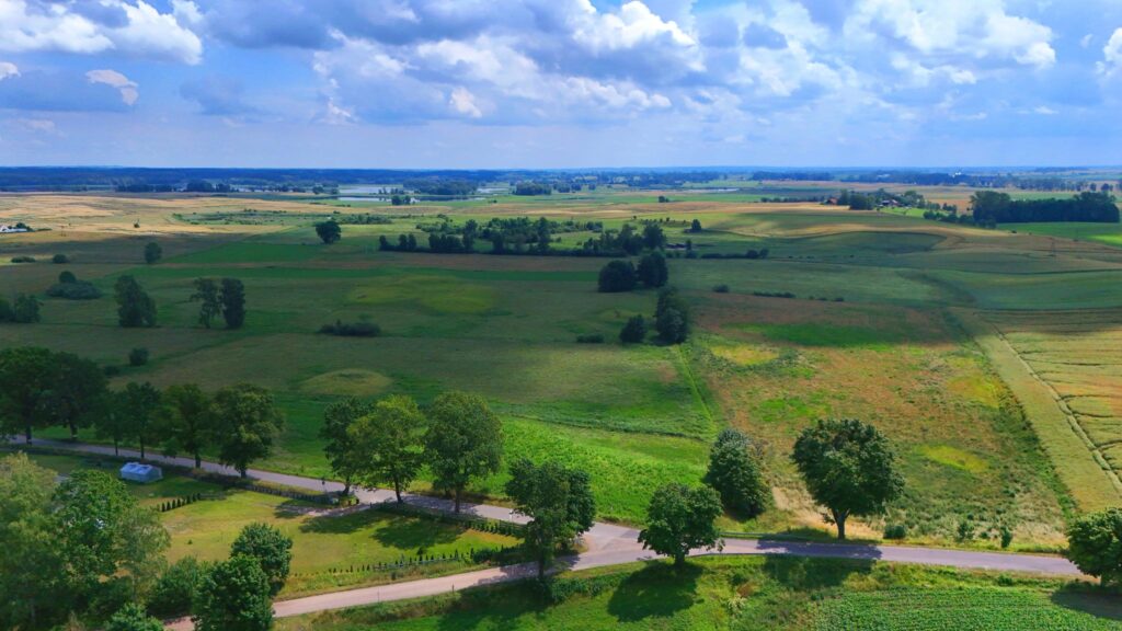 Kożuchy Wielkie k. Giżycka - działka 4000m2 - zdjęcie 3