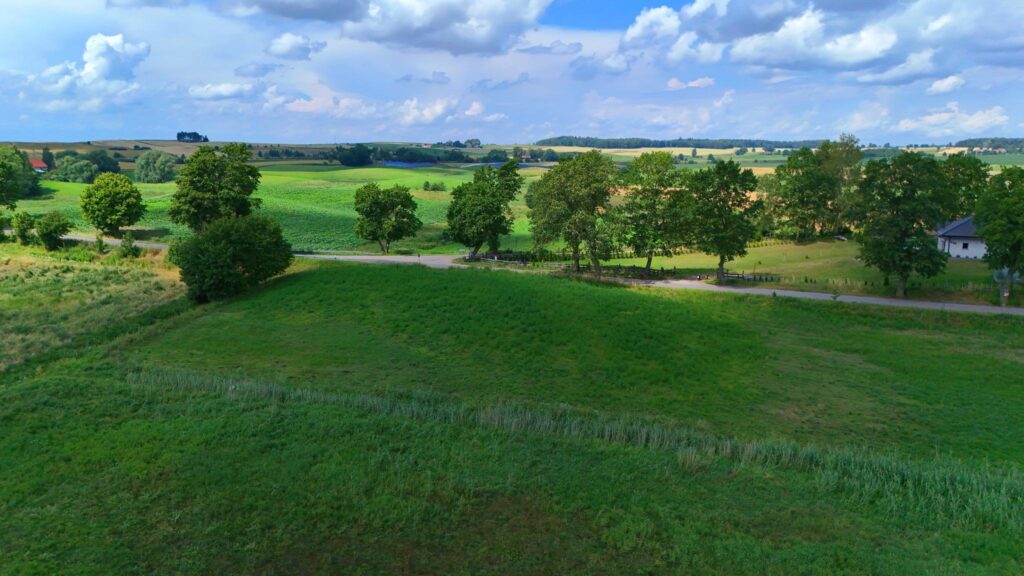 Kożuchy Wielkie k. Giżycka - działka 4000m2 - zdjęcie 7