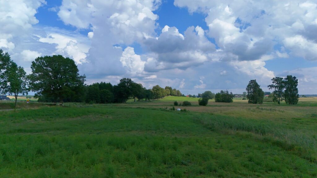 Kożuchy Wielkie k. Giżycka - działka 4000m2 - zdjęcie 9