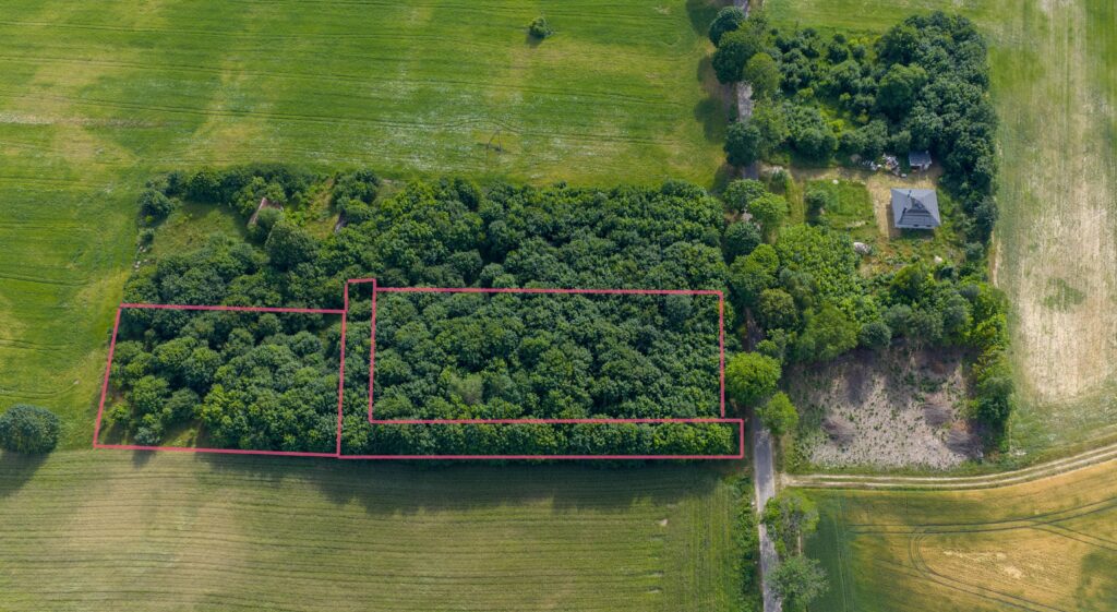 Działki pod miastem z lasem, Waszulki - zdjęcie 3