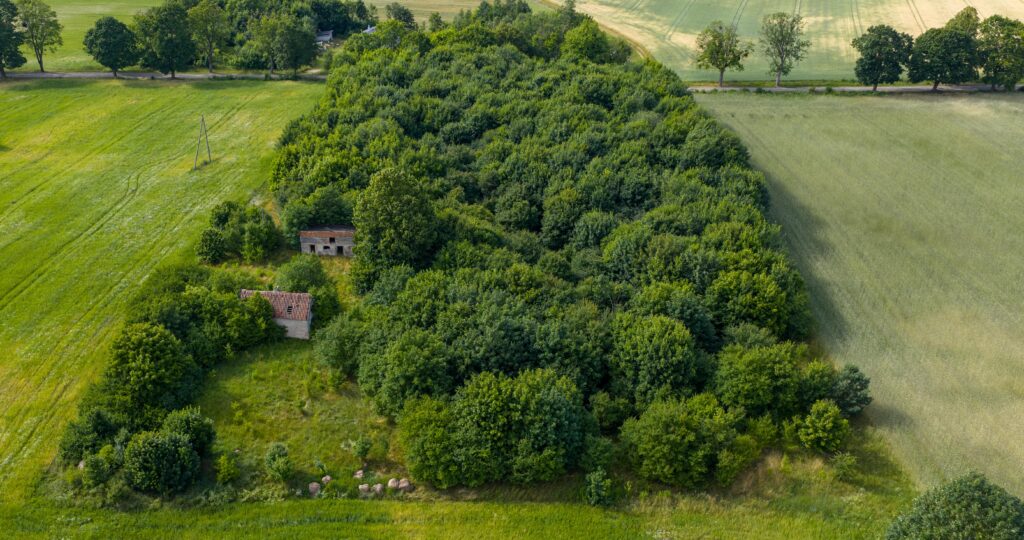 Działki pod miastem z lasem, Waszulki - zdjęcie 4