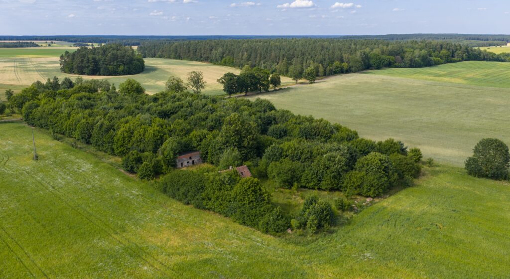 Działki pod miastem z lasem, Waszulki - zdjęcie 5