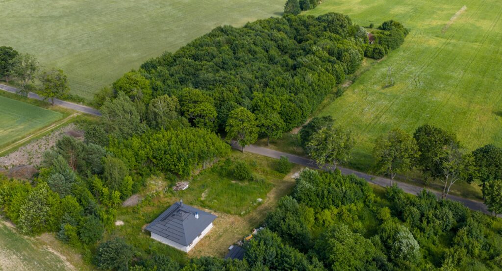 Działki pod miastem z lasem, Waszulki - zdjęcie 6