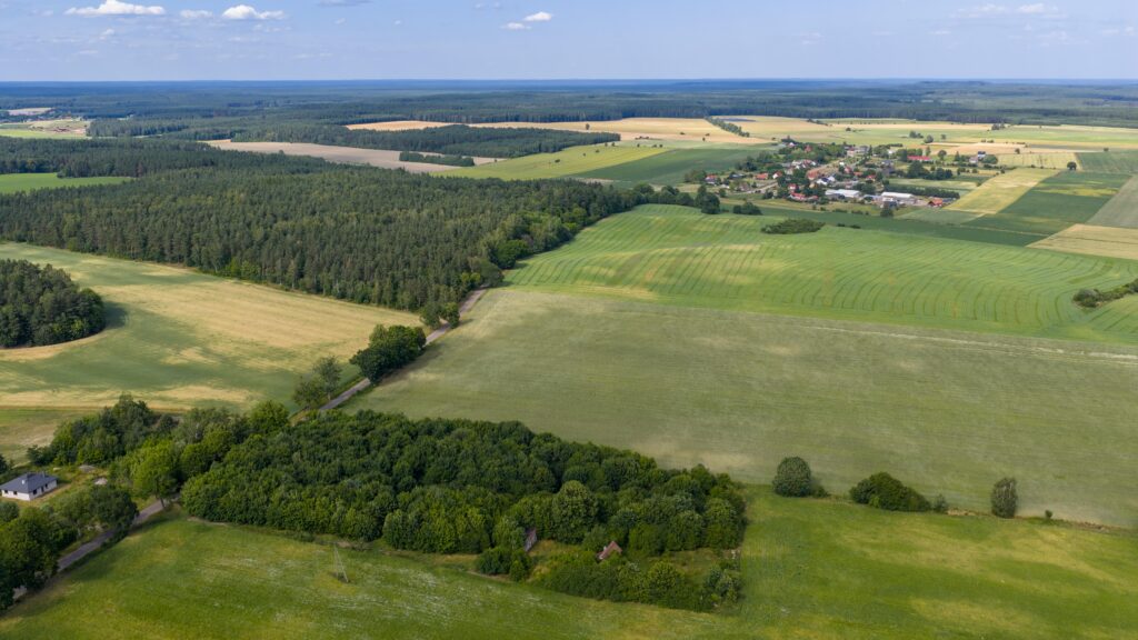 Działki pod miastem z lasem, Waszulki - zdjęcie 8