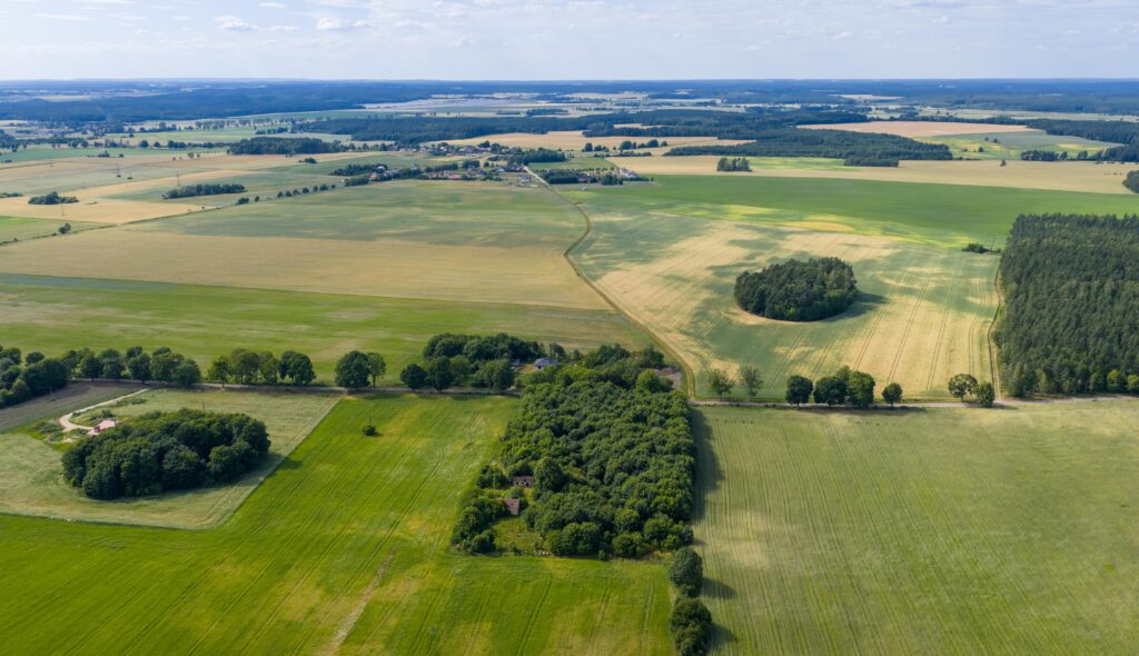 Działki pod miastem z lasem, Waszulki - zdjęcie 9