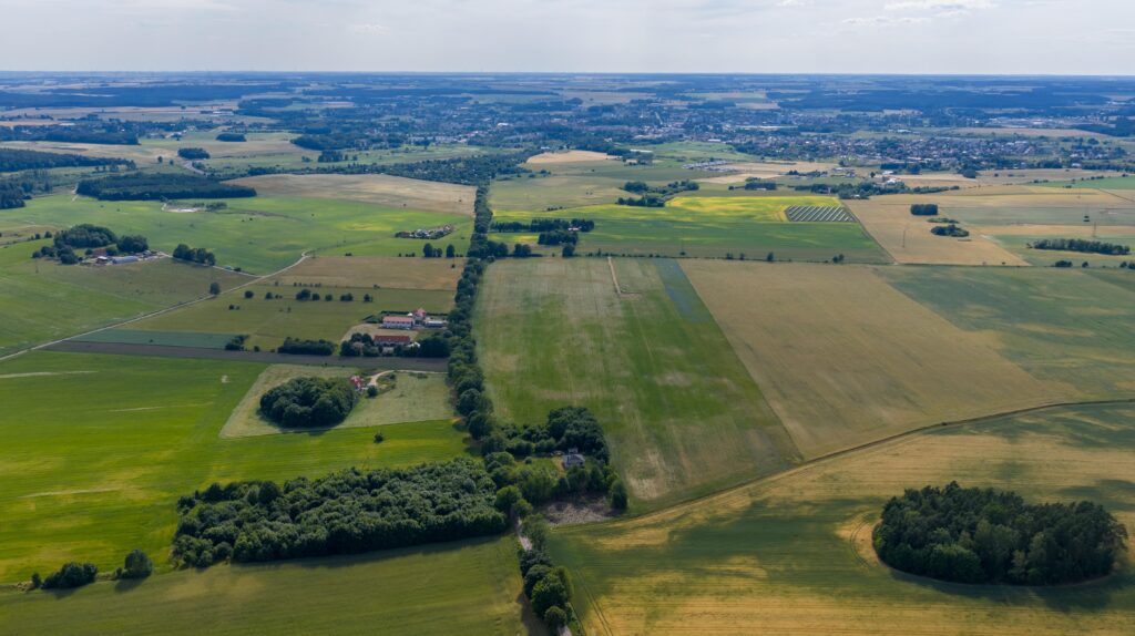 Działki pod miastem z lasem, Waszulki - zdjęcie 10