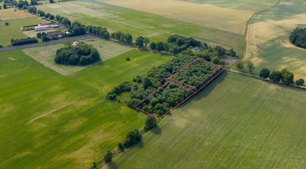 Działki pod miastem z lasem, Waszulki - zdjęcie 1
