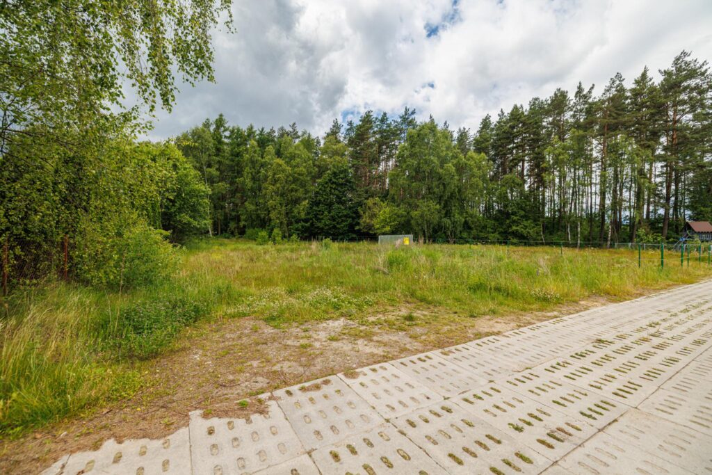 Działka z wejściem do lasu - zdjęcie 8