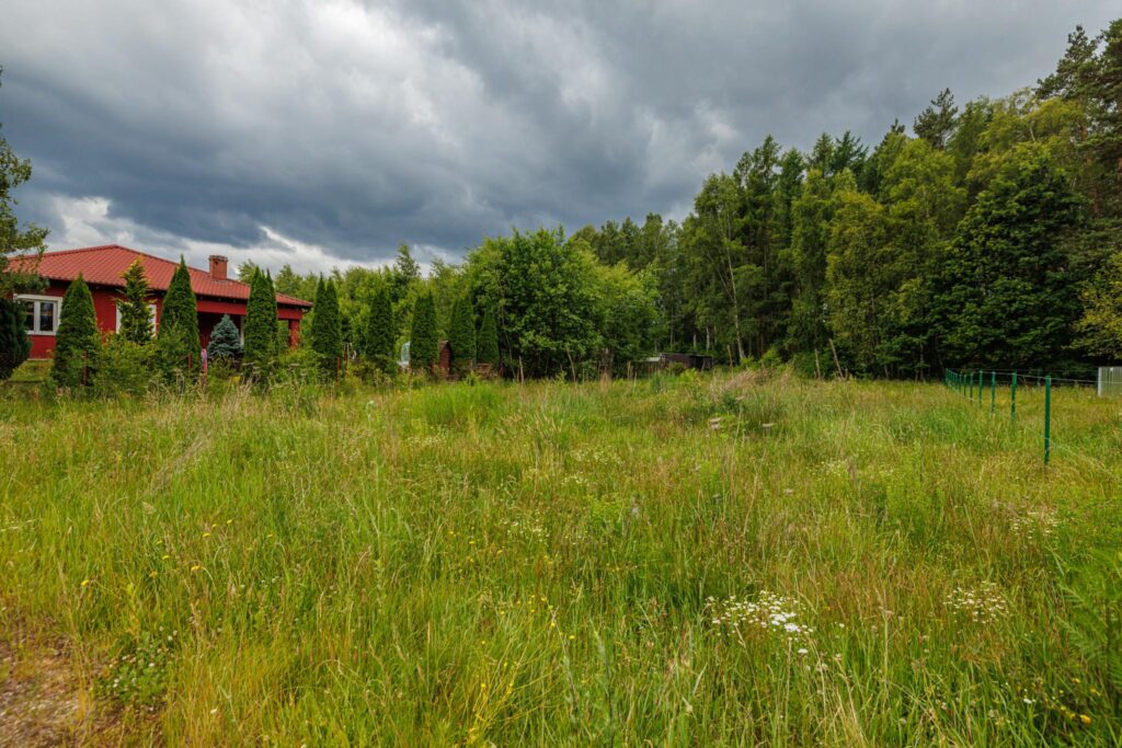 Działka z wejściem do lasu - zdjęcie 7