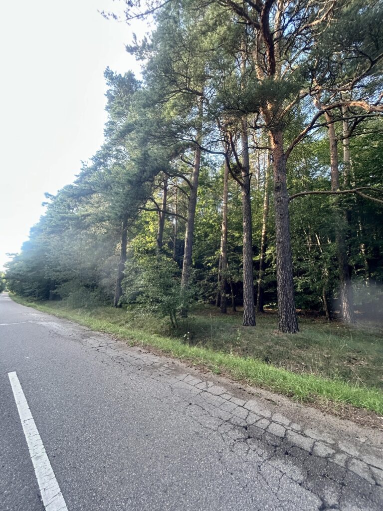 Działka na Mazurach Napiwoda Nidzica - zdjęcie 18