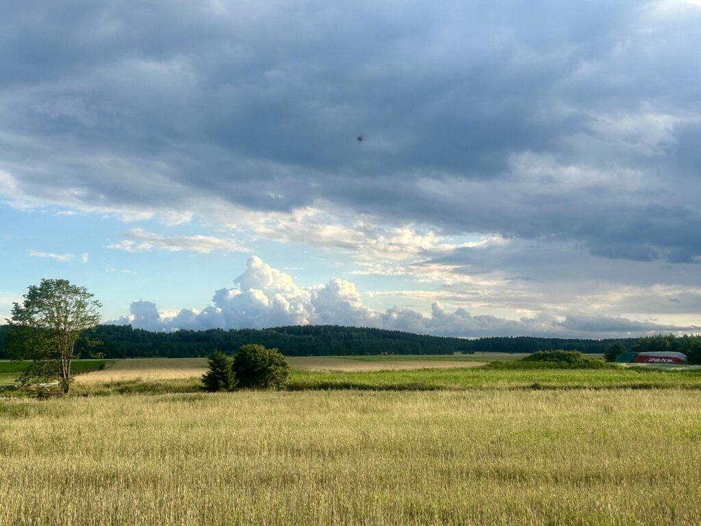 Działka na Mazurach Napiwoda Nidzica - zdjęcie 16