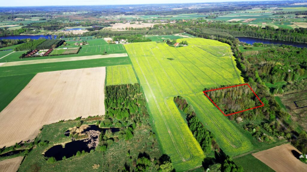 Na sprzedaż malownicza działka we Wielowsi - zdjęcie 1