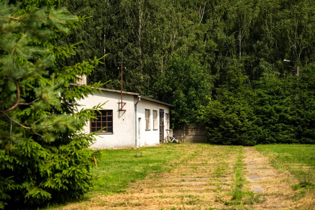 Działka z halami, 8330 m², Olszewo k. Mikołajek - zdjęcie 10