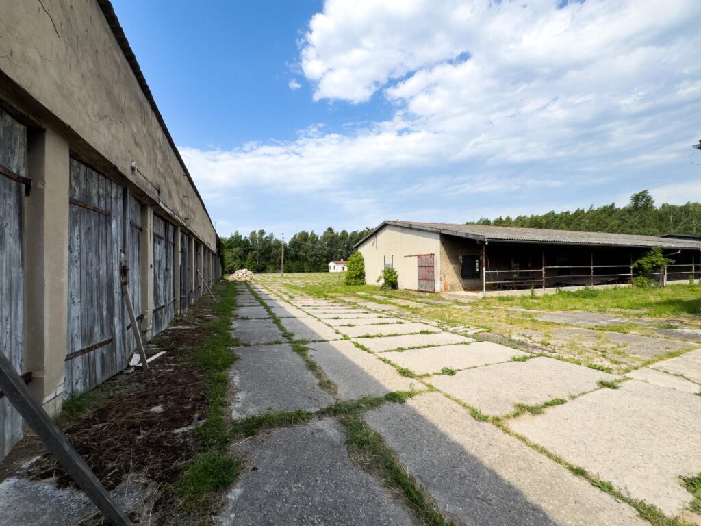 Działka z halami, 8330 m², Olszewo k. Mikołajek - zdjęcie 11