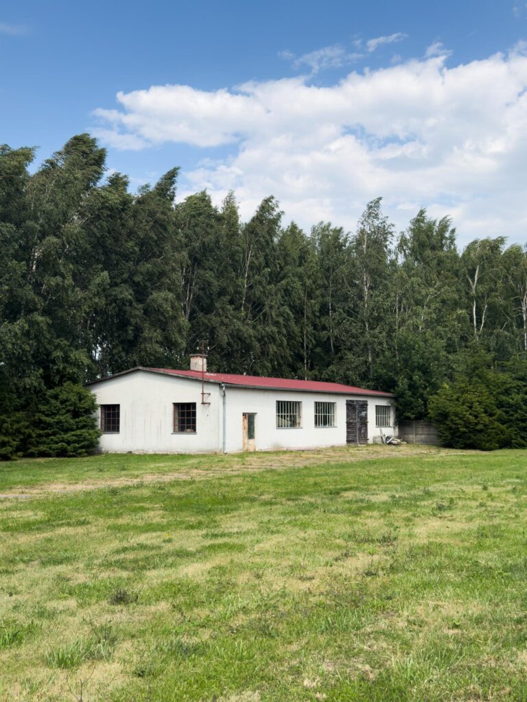 Działka z halami, 8330 m², Olszewo k. Mikołajek - zdjęcie 12