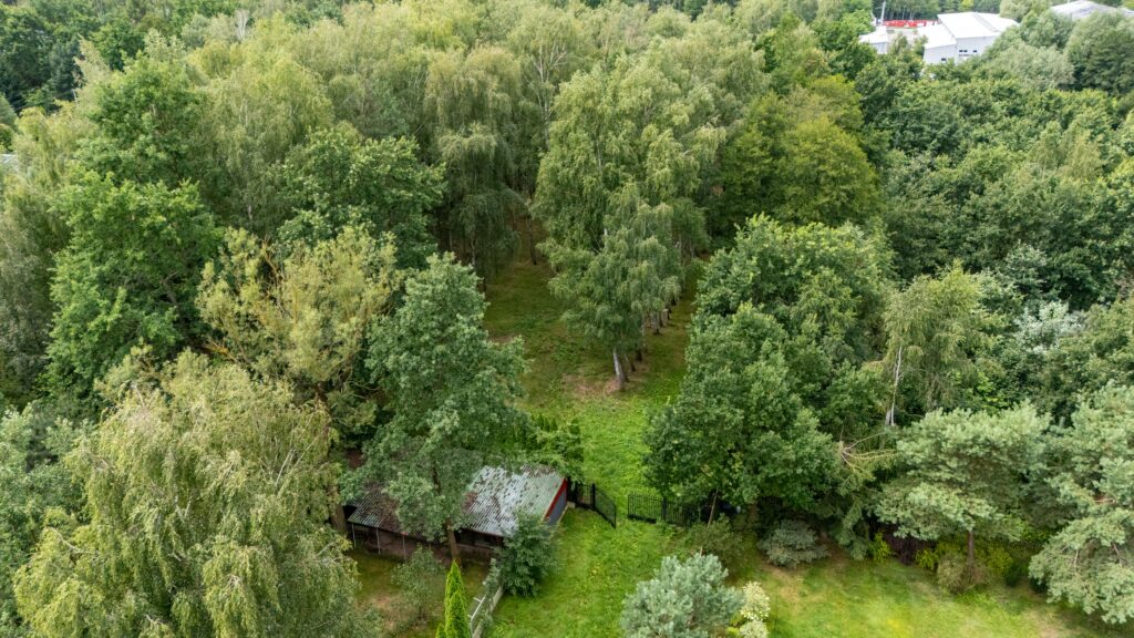 Urokliwa działka ze stawem i laskiem brzozowym - zdjęcie 5