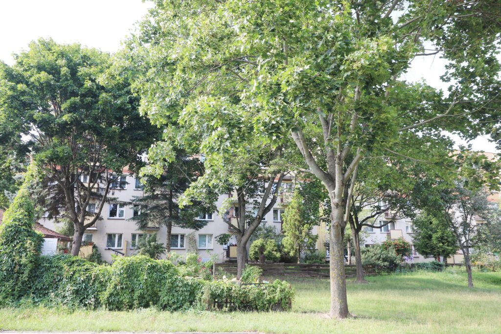 4 pokoje, Białostoczek, spokojna okolica - zdjęcie 14