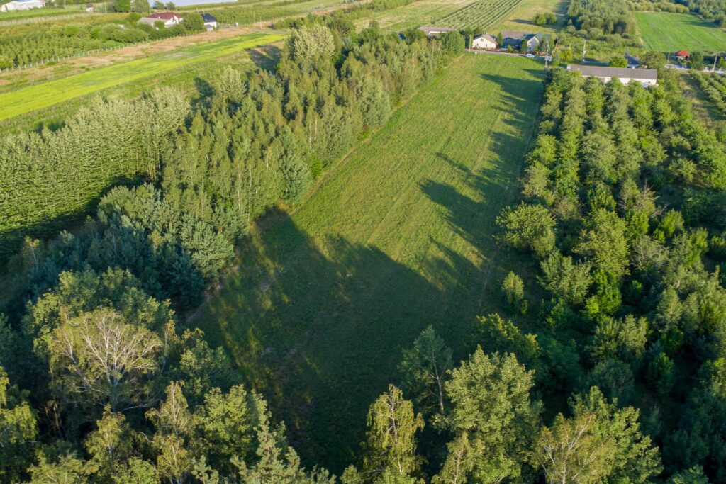Atrakcyjna działka 2 ha - Józefów gmina Pniewy - zdjęcie 13