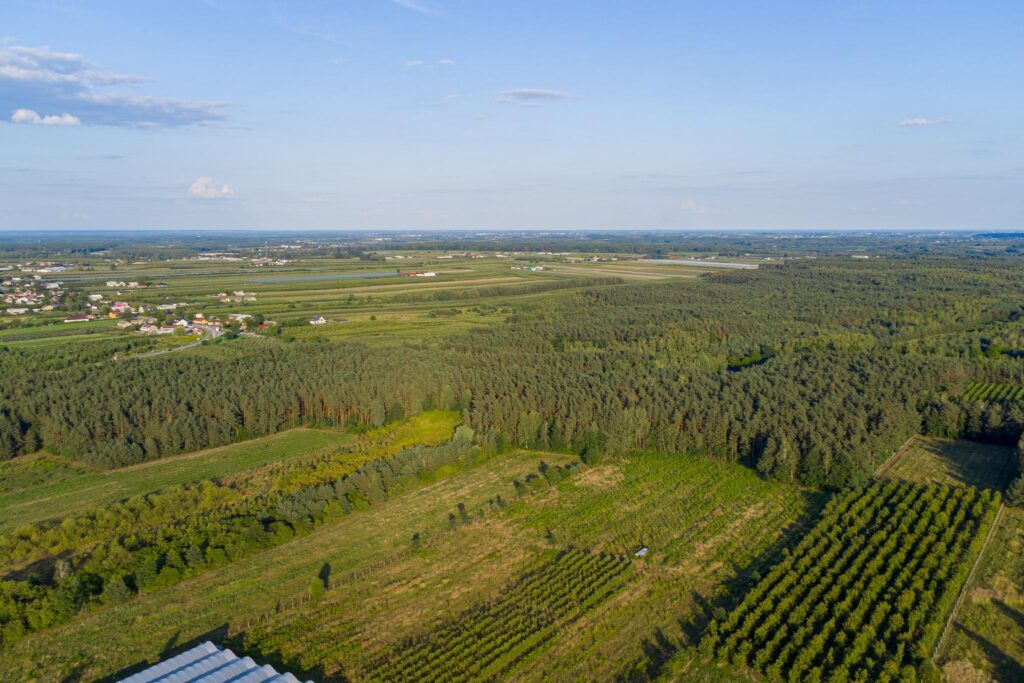 Atrakcyjna działka 2 ha - Józefów gmina Pniewy - zdjęcie 18