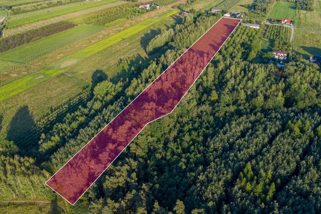 Atrakcyjna działka 2 ha - Józefów gmina Pniewy - zdjęcie 3