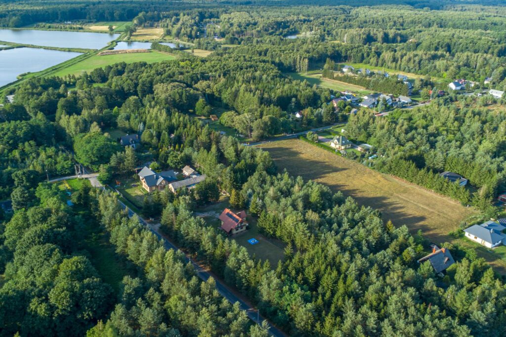 Malownicza działka 4900m2 Grzegorzewice - zdjęcie 3