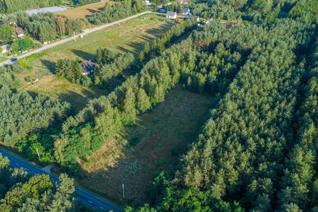 Malownicza działka 4900m2 Grzegorzewice - zdjęcie 4
