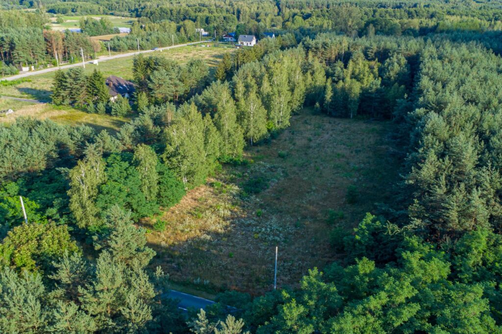Malownicza działka 4900m2 Grzegorzewice - zdjęcie 5
