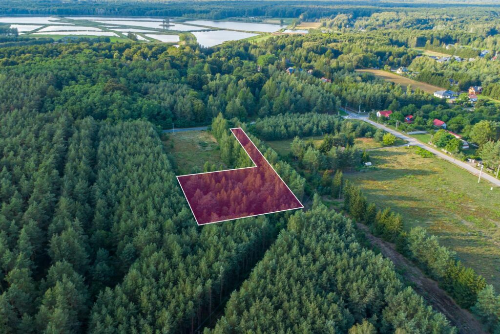 Malownicza działka 4900m2 Grzegorzewice - zdjęcie 1