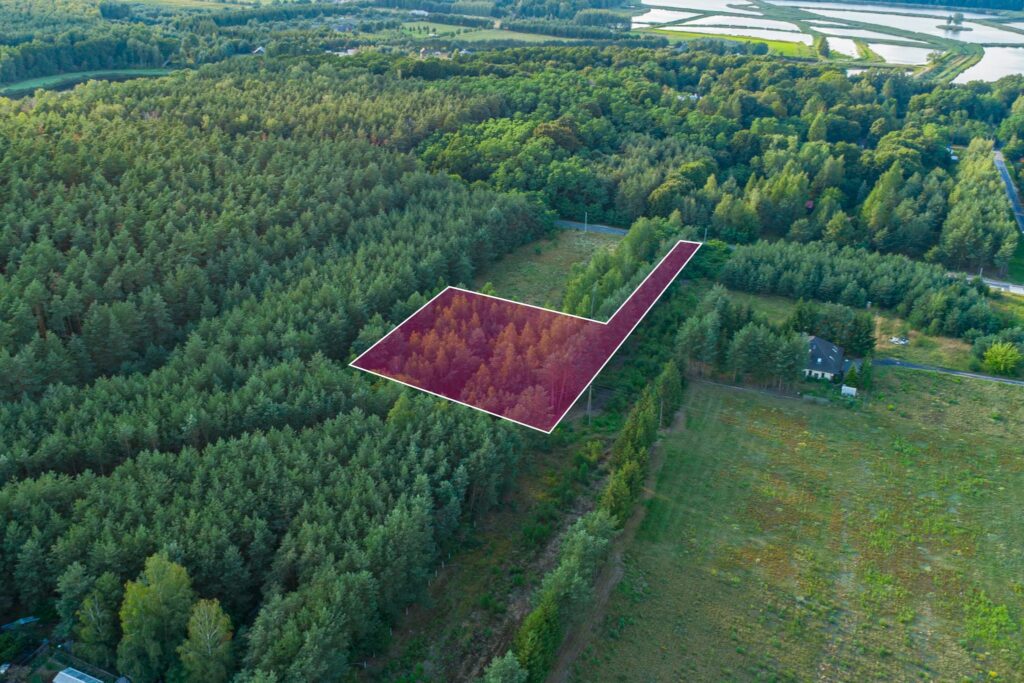 Malownicza działka 4900m2 Grzegorzewice - zdjęcie 2