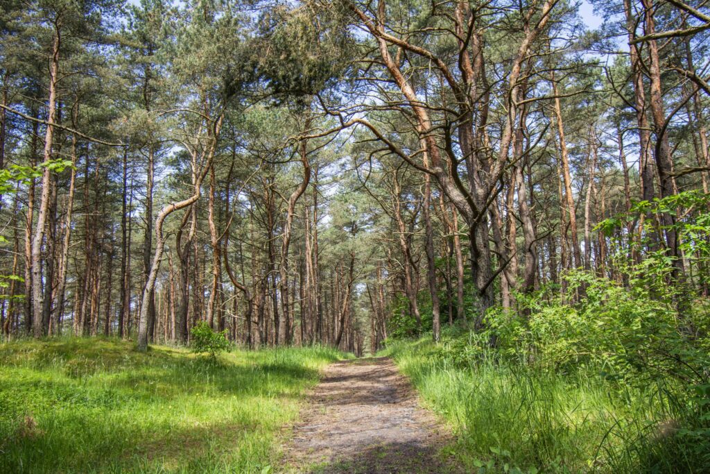 Mieszkanie z ogrodem Ustka Lędowo 57m2 - zdjęcie 1