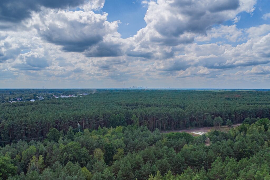 Działka 1322 m² | Media | 2 wjazdy Majdan/Wołomin - zdjęcie 25