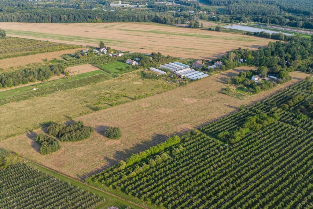 Działka 3300 m2 Marianka - zdjęcie 3
