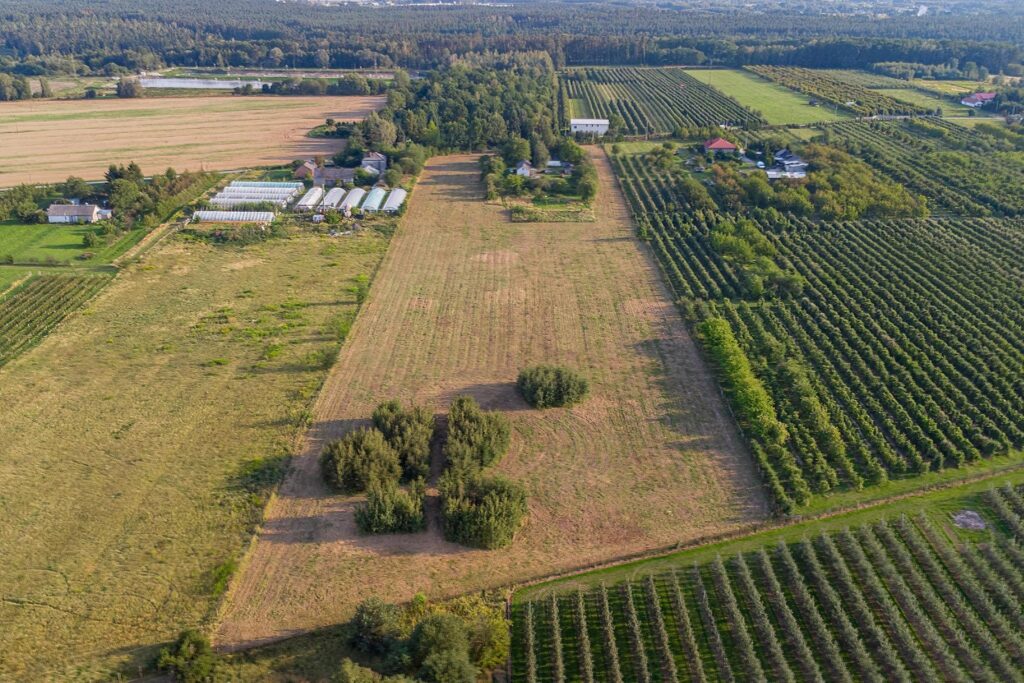 Działka 3300 m2 Marianka - zdjęcie 12