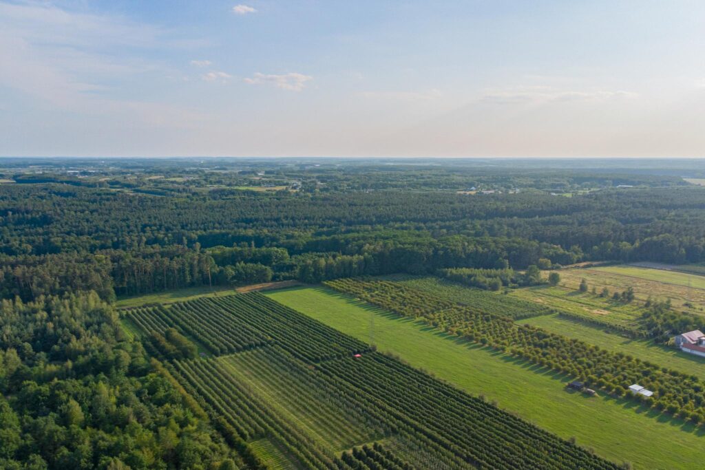 Działka 3300 m2 Marianka - zdjęcie 17