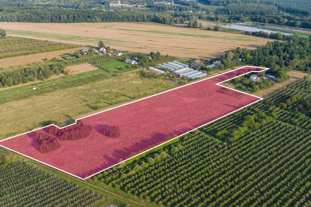 Działka 3300 m2 Marianka - zdjęcie 9