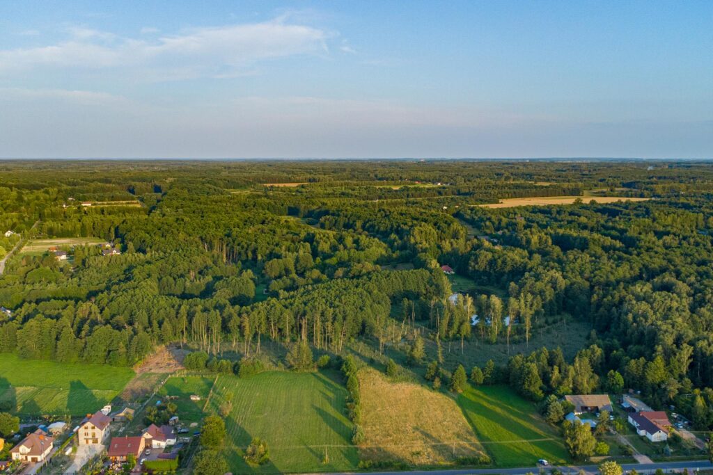 Piękna działka 3390 m2 Bartoszówka - zdjęcie 17