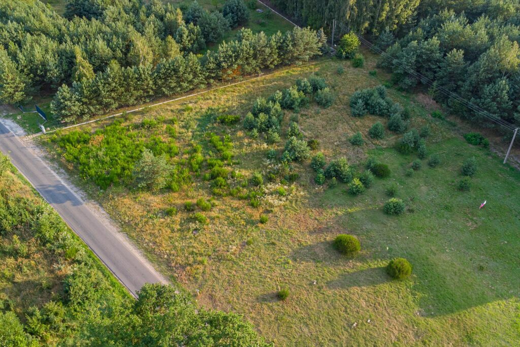 Piękna działka pod budowę domu Grzegorzewice - zdjęcie 3