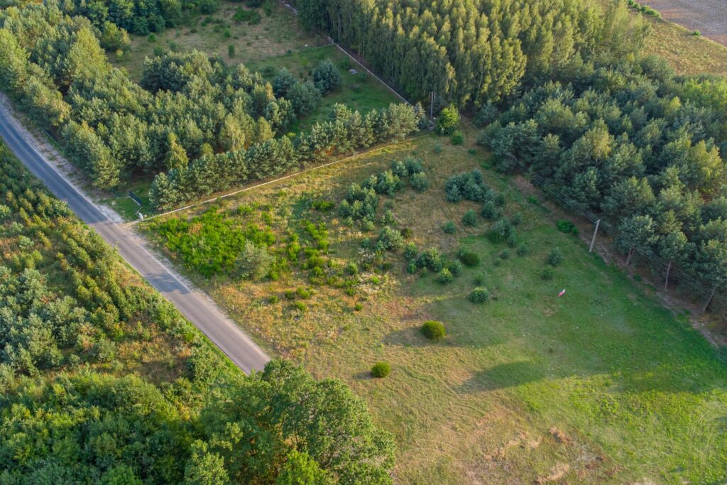 Piękna działka pod budowę domu Grzegorzewice - zdjęcie 4