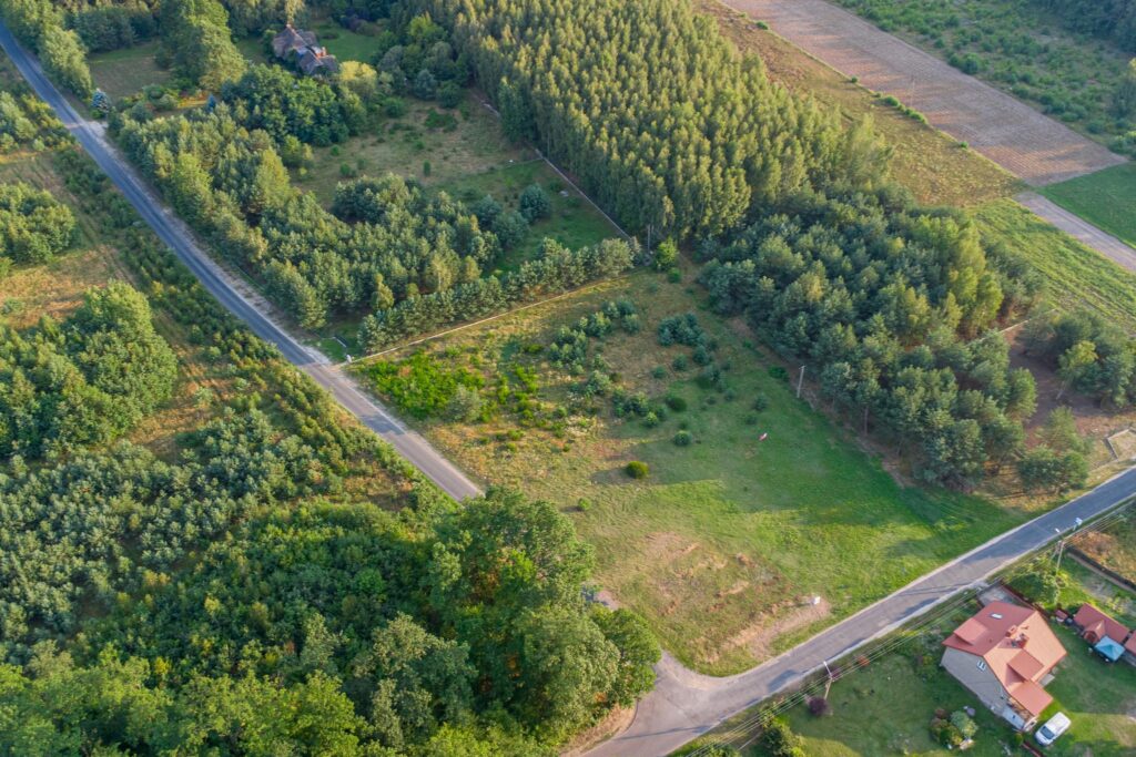 Piękna działka pod budowę domu Grzegorzewice - zdjęcie 5