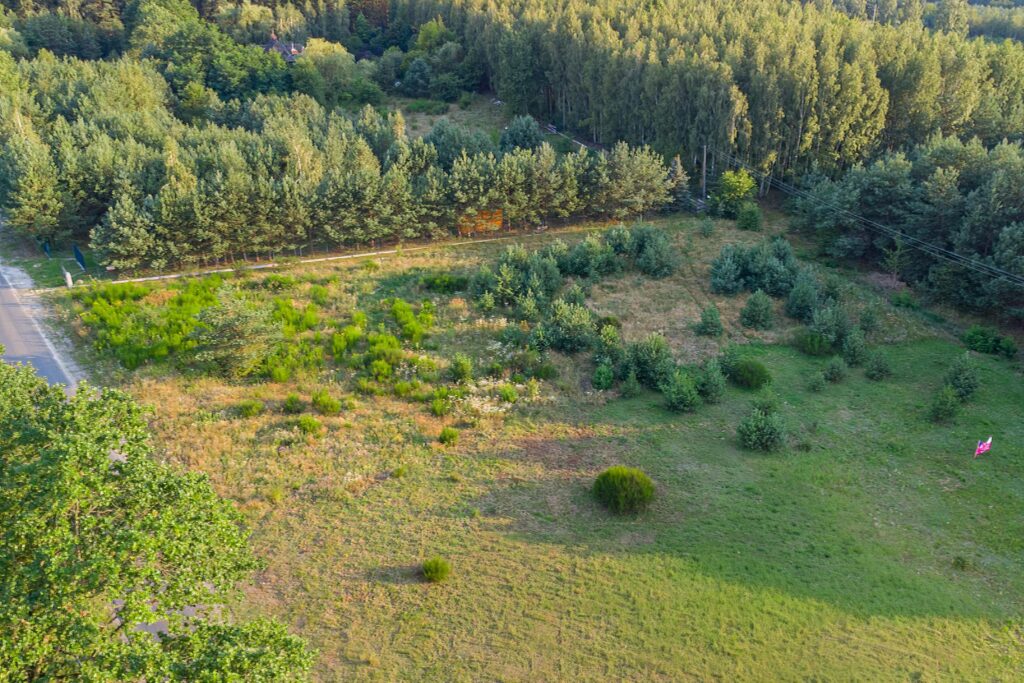 Piękna działka pod budowę domu Grzegorzewice - zdjęcie 11