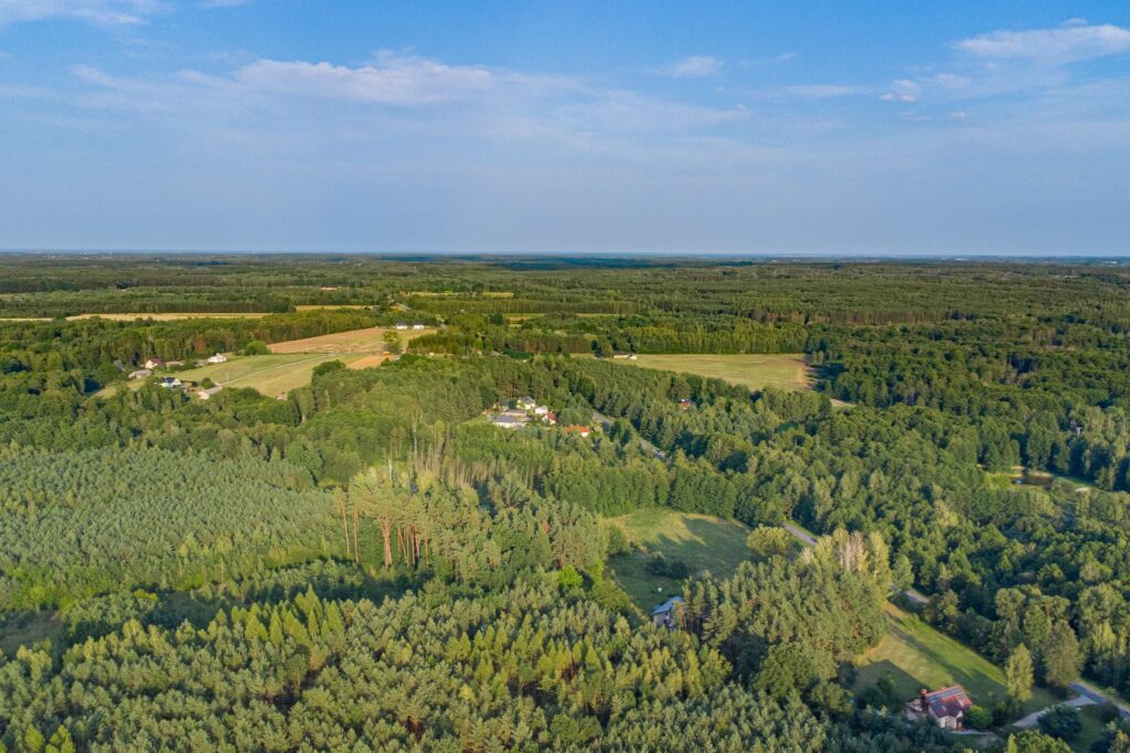 Piękna działka pod budowę domu Grzegorzewice - zdjęcie 13