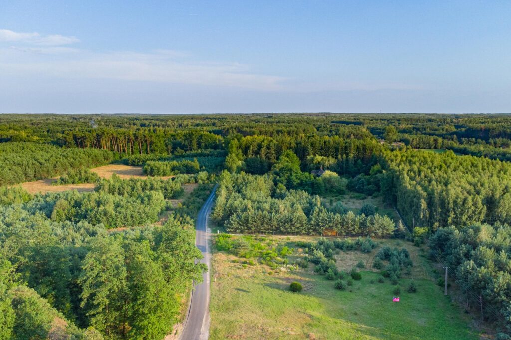 Piękna działka pod budowę domu Grzegorzewice - zdjęcie 15