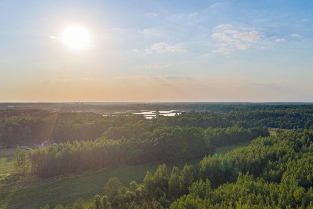 Piękna działka pod budowę domu Grzegorzewice - zdjęcie 16