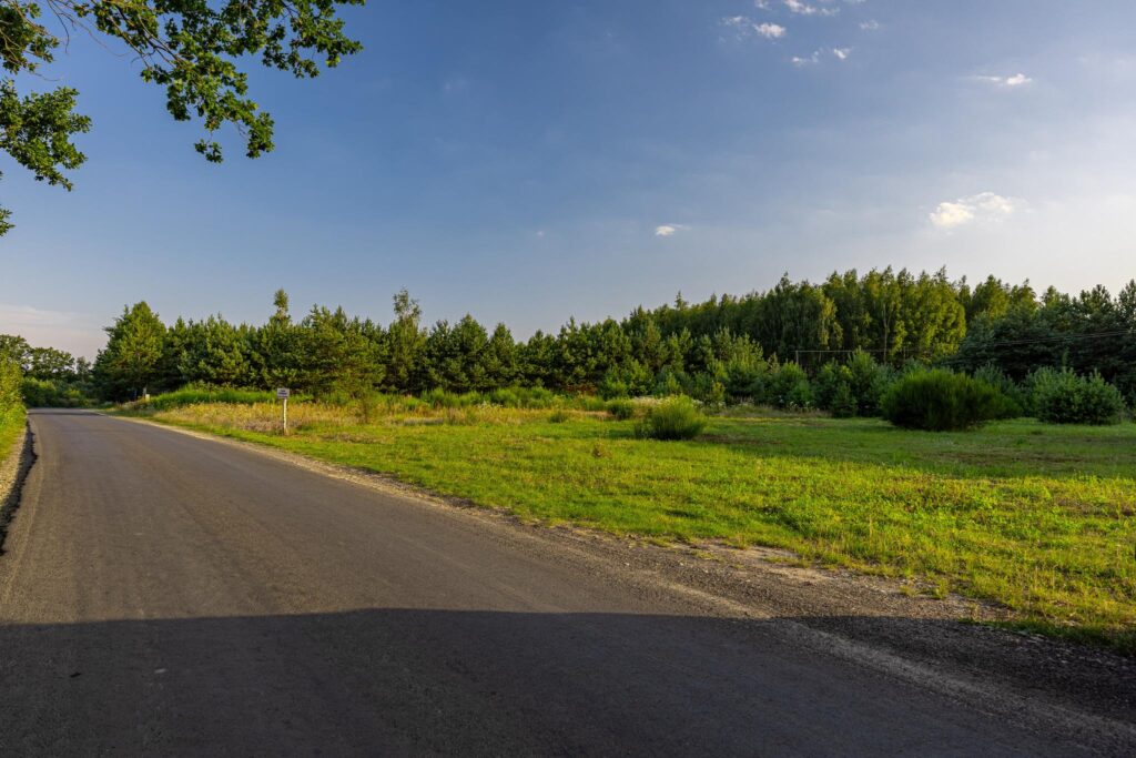 Piękna działka pod budowę domu Grzegorzewice - zdjęcie 19